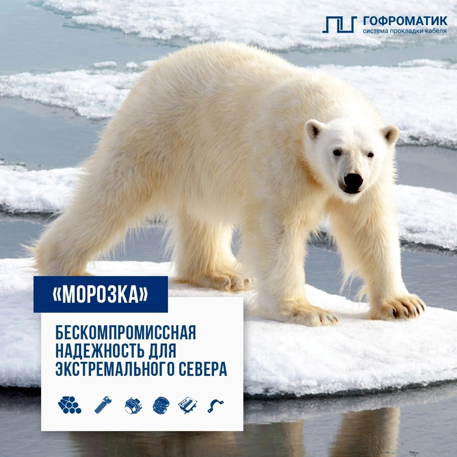 Линейка «Морозка» — электросети выдерживают даже -60°C!