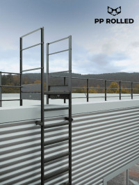 Вертикальная пожарная лестница П1-1 ОЦ L=6300мм