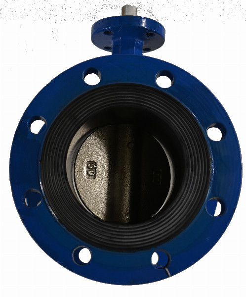Фланцевый дисковый затвор DN 65