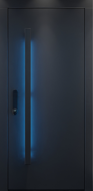 Входная дверь Level One