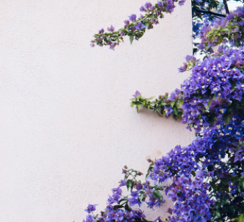 Сен-Гобен Штукатурные фасады Библиотека комплексных решений