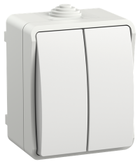 Выключатель FORS ОУ 2-кл 10А IP54