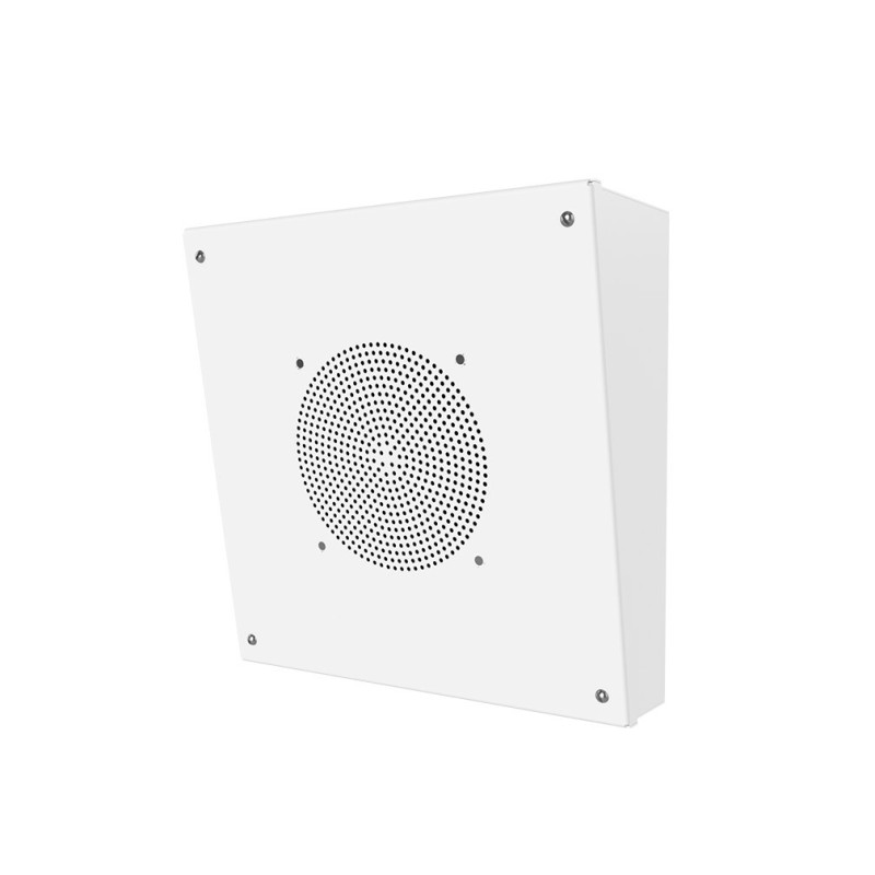 Кабинетный IP громкоговоритель RPA-1