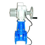 Задвижка МЗВПР-100 (DN 100)