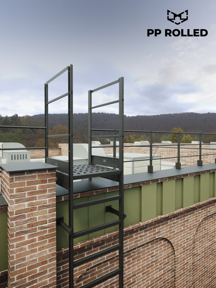 Вертикальная пожарная лестница П1-1 ОЦ L=2450мм