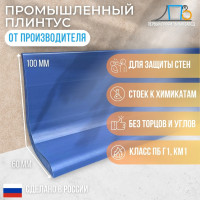 Промышленный плинтус ПП 100х60