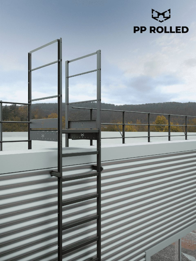 Вертикальная пожарная лестница П1-1 Эконом L=2450мм