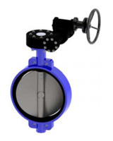 VPE4449-08 Затвор дисковый поворотный с редуктором